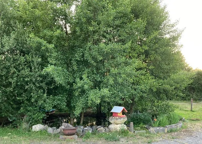T3 Sur Fermette Avec Les Animaux
