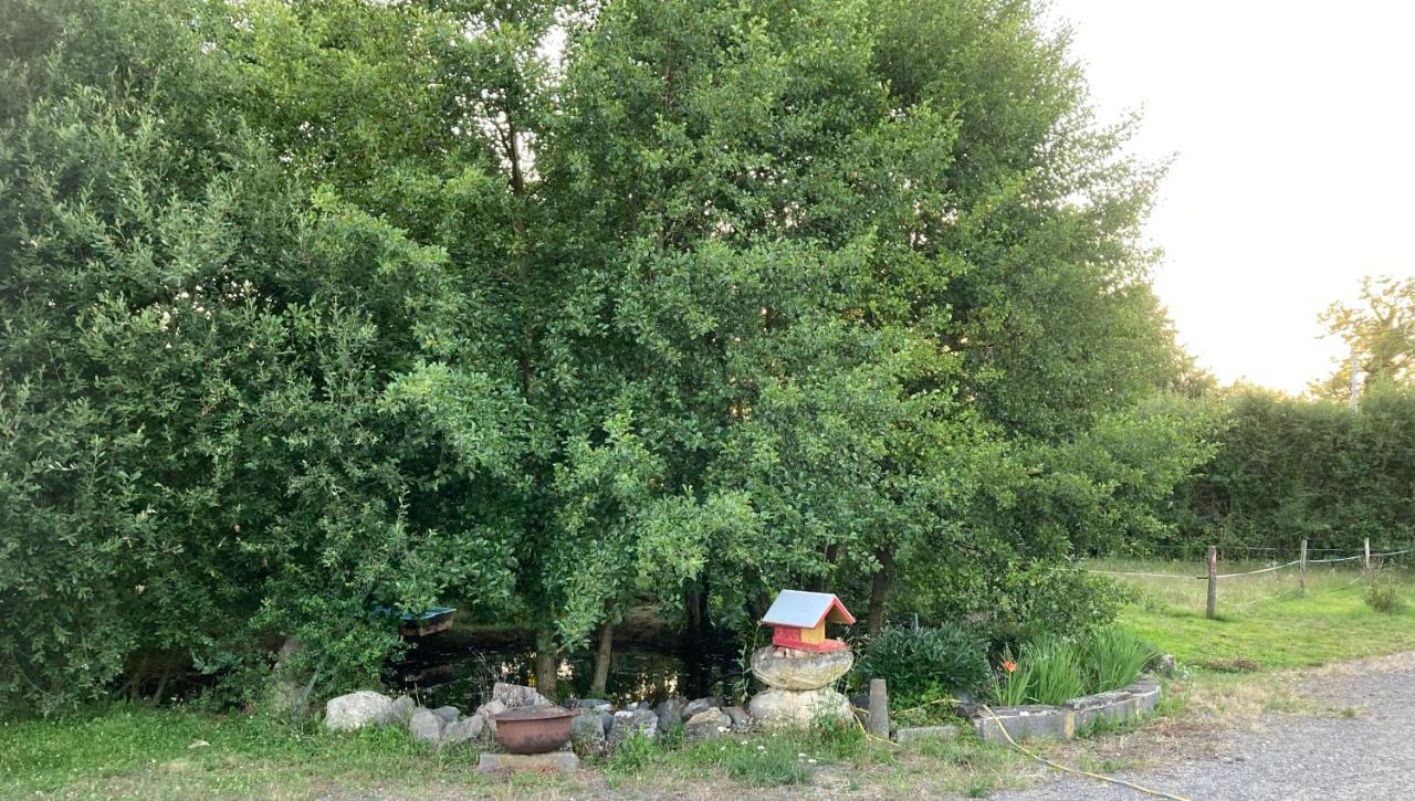 T3 Sur Fermette Avec Les Animaux Lusigny